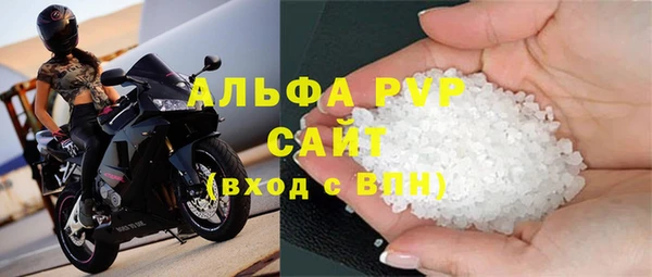 стаф Богородицк
