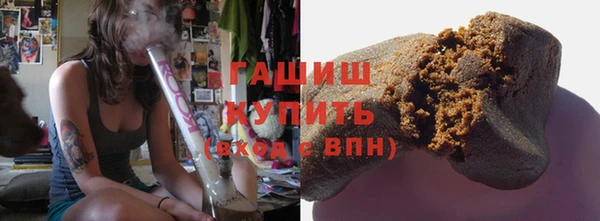 индика Беломорск