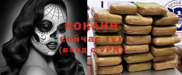стаф Богородицк