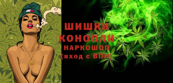 стаф Богородицк